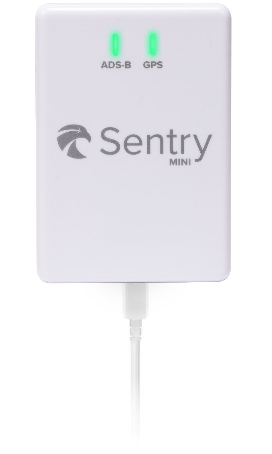 Sentry Mini Plugged In